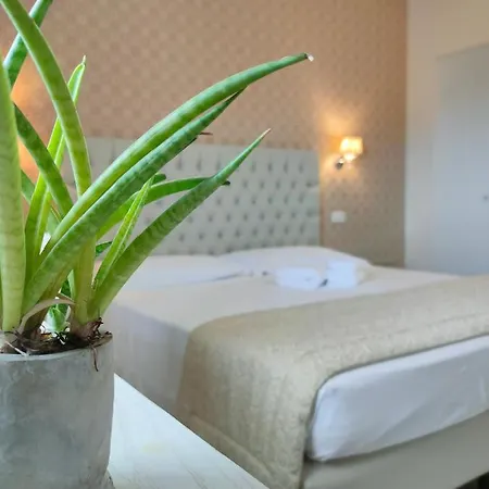 Guest house Nuova Opera